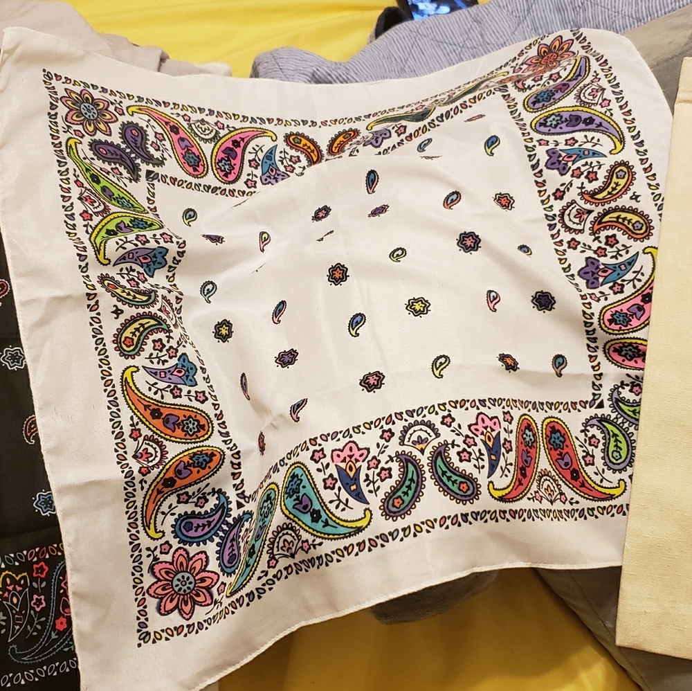 Hand painted bandana...Unique! One of a kind